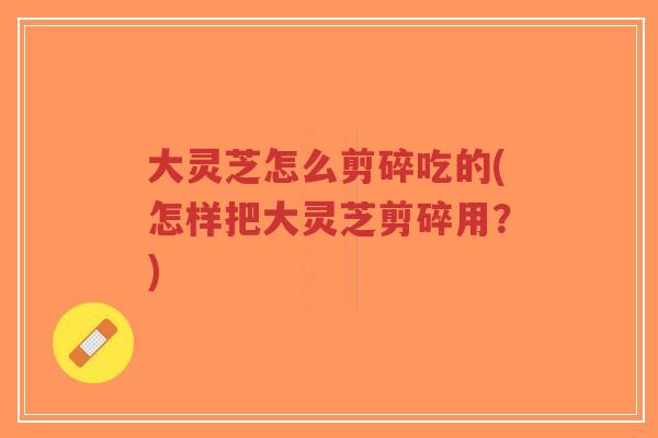 大灵芝怎么剪碎吃的(怎样把大灵芝剪碎用?)-第1张图片-超越 大灵芝怎么剪碎吃的(怎样把大灵芝剪碎用?)-第1张图片-超越