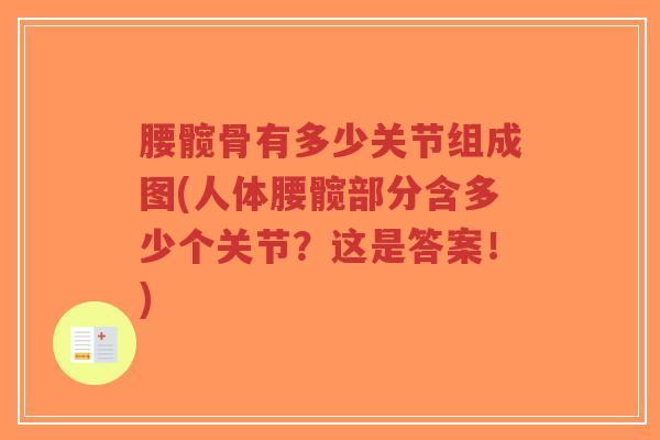 腰髋骨有多少关节组成图(人体腰髋部分含多少个关节?这是答案!)-第1张图片-超越 腰髋骨有多少关节组成图(人体腰髋部分含多少个关节?这是答案!)-第1张图片-超越