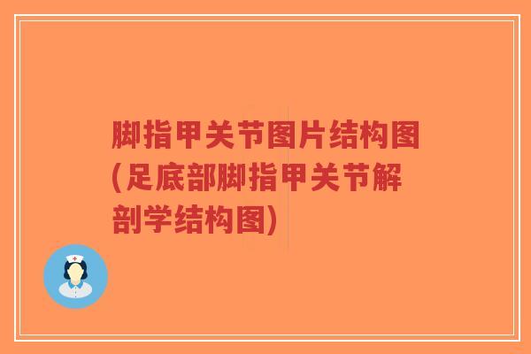 脚指甲关节图片结构图(足底部脚指甲关节解剖学结构图)-第1张图片-超越 脚指甲关节图片结构图(足底部脚指甲关节解剖学结构图)-第1张图片-超越