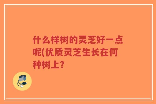 什么样树的灵芝好一点呢(优质灵芝生长在何种树上?-第1张图片-超越 什么样树的灵芝好一点呢(优质灵芝生长在何种树上?-第1张图片-超越