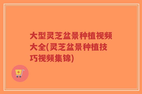 大型灵芝盆景种植视频大全(灵芝盆景种植技巧视频集锦)-第1张图片-超越 大型灵芝盆景种植视频大全(灵芝盆景种植技巧视频集锦)-第1张图片-超越