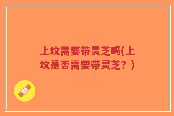 上坟需要带灵芝吗(上坟是否需要带灵芝?)-第1张图片-超越 上坟需要带灵芝吗(上坟是否需要带灵芝?)-第1张图片-超越
