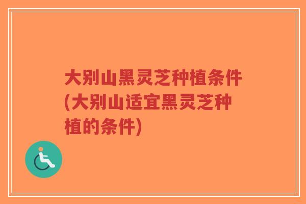大别山黑灵芝种植条件(大别山适宜黑灵芝种植的条件)-第1张图片-超越 大别山黑灵芝种植条件(大别山适宜黑灵芝种植的条件)-第1张图片-超越