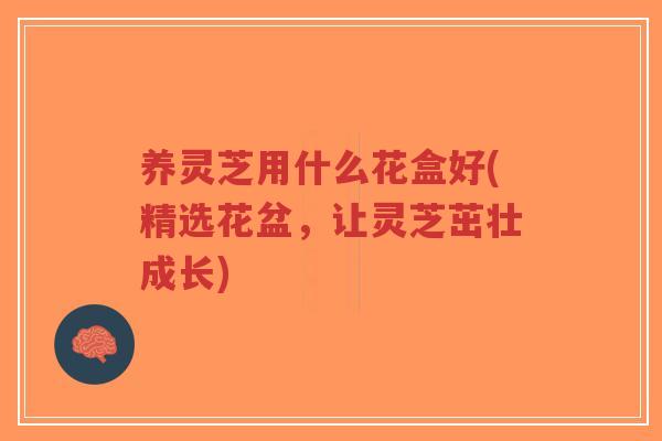 养灵芝用什么花盒好(精选花盆,让灵芝茁壮成长)-第1张图片-超越 养灵芝用什么花盒好(精选花盆,让灵芝茁壮成长)-第1张图片-超越