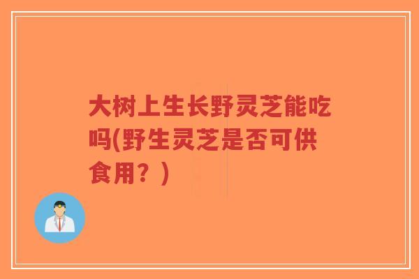 大树上生长野灵芝能吃吗(野生灵芝是否可供食用?)-第1张图片-超越 大树上生长野灵芝能吃吗(野生灵芝是否可供食用?)-第1张图片-超越