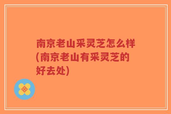 南京老山采灵芝怎么样(南京老山有采灵芝的好去处)-第1张图片-超越 南京老山采灵芝怎么样(南京老山有采灵芝的好去处)-第1张图片-超越