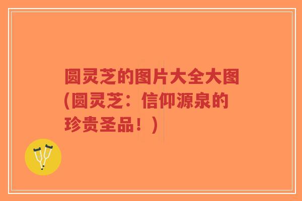 圆灵芝的图片大全大图(圆灵芝：信仰源泉的珍贵圣品！)-第1张图片-超越