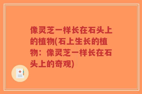像灵芝一样长在石头上的植物(石上生长的植物:像灵芝一样长在石头上的奇观)-第1张图片-超越 像灵芝一样长在石头上的植物(石上生长的植物:像灵芝一样长在石头上的奇观)-第1张图片-超越