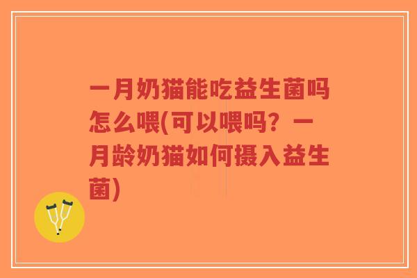 一月奶猫能吃益生菌吗怎么喂(可以喂吗？一月龄奶猫如何摄入益生菌)-第1张图片-超越