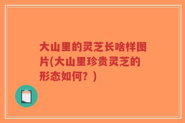 大山里的灵芝长啥样图片(大山里珍贵灵芝的形态如何?)-第1张图片-超越 大山里的灵芝长啥样图片(大山里珍贵灵芝的形态如何?)-第1张图片-超越