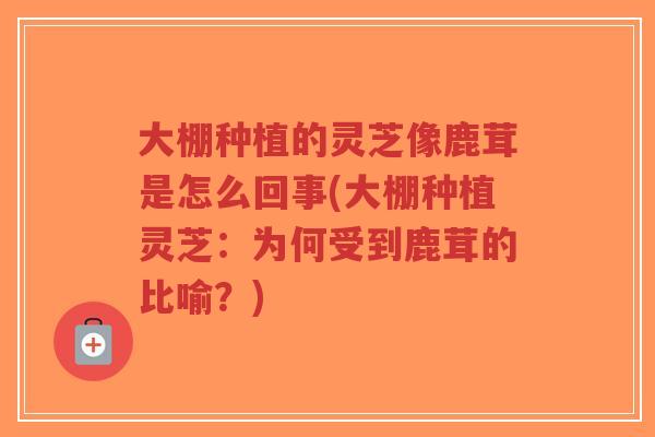 大棚种植的灵芝像鹿茸是怎么回事(大棚种植灵芝:为何受到鹿茸的比喻?)-第1张图片-超越 大棚种植的灵芝像鹿茸是怎么回事(大棚种植灵芝:为何受到鹿茸的比喻?)-第1张图片-超越