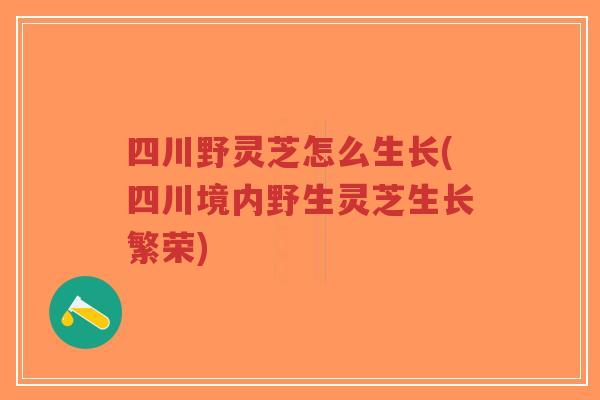 四川野灵芝怎么生长(四川境内野生灵芝生长繁荣)-第1张图片-超越 四川野灵芝怎么生长(四川境内野生灵芝生长繁荣)-第1张图片-超越