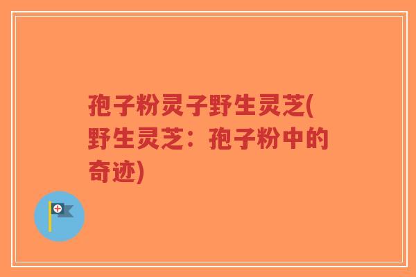 孢子粉灵子野生灵芝(野生灵芝:孢子粉中的奇迹)-第1张图片-超越 孢子粉灵子野生灵芝(野生灵芝:孢子粉中的奇迹)-第1张图片-超越