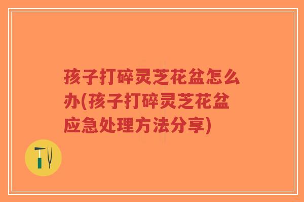 孩子打碎灵芝花盆怎么办(孩子打碎灵芝花盆应急处理方法分享)-第1张图片-超越 孩子打碎灵芝花盆怎么办(孩子打碎灵芝花盆应急处理方法分享)-第1张图片-超越