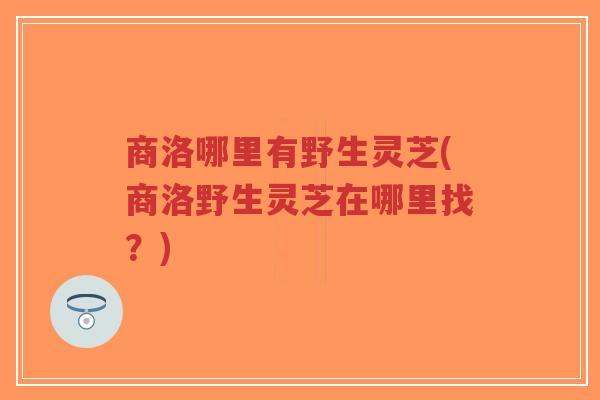 商洛哪里有野生灵芝(商洛野生灵芝在哪里找？)-第1张图片-超越