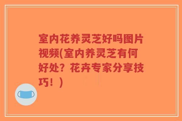 室内花养灵芝好吗图片视频(室内养灵芝有何好处?花卉专家分享技巧!)-第1张图片-超越 室内花养灵芝好吗图片视频(室内养灵芝有何好处?花卉专家分享技巧!)-第1张图片-超越