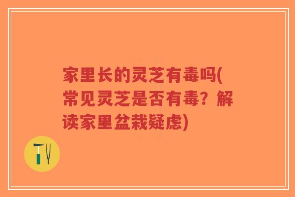 家里长的灵芝有毒吗(常见灵芝是否有毒?解读家里盆栽疑虑)-第1张图片-超越 家里长的灵芝有毒吗(常见灵芝是否有毒?解读家里盆栽疑虑)-第1张图片-超越