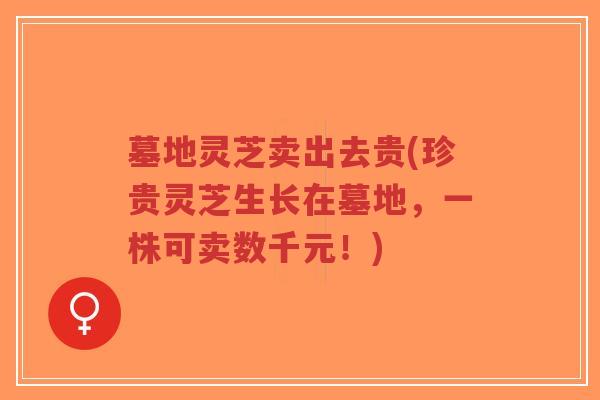 墓地灵芝卖出去贵(珍贵灵芝生长在墓地,一株可卖数千元!)-第1张图片-超越 墓地灵芝卖出去贵(珍贵灵芝生长在墓地,一株可卖数千元!)-第1张图片-超越