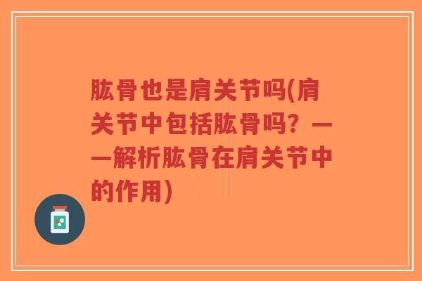 肱骨也是肩关节吗(肩关节中包括肱骨吗?——解析肱骨在肩关节中的作用)-第1张图片-超越 肱骨也是肩关节吗(肩关节中包括肱骨吗?——解析肱骨在肩关节中的作用)-第1张图片-超越