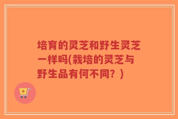 培育的灵芝和野生灵芝一样吗(栽培的灵芝与野生品有何不同？)-第1张图片-超越