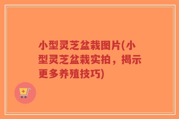 小型灵芝盆栽图片(小型灵芝盆栽实拍,揭示更多养殖技巧)-第1张图片-超越 小型灵芝盆栽图片(小型灵芝盆栽实拍,揭示更多养殖技巧)-第1张图片-超越