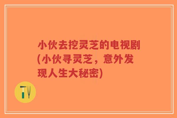 小伙去挖灵芝的电视剧(小伙寻灵芝,意外发现人生大秘密)-第1张图片-超越 小伙去挖灵芝的电视剧(小伙寻灵芝,意外发现人生大秘密)-第1张图片-超越