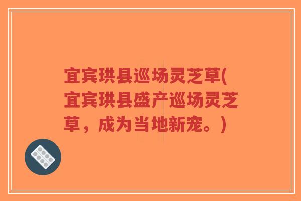 宜宾珙县巡场灵芝草(宜宾珙县盛产巡场灵芝草,成为当地新宠。)-第1张图片-超越 宜宾珙县巡场灵芝草(宜宾珙县盛产巡场灵芝草,成为当地新宠。)-第1张图片-超越