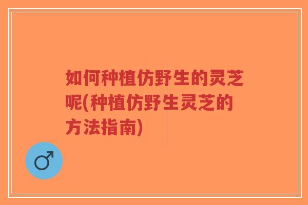 如何种植仿野生的灵芝呢(种植仿野生灵芝的方法指南)-第1张图片-超越 如何种植仿野生的灵芝呢(种植仿野生灵芝的方法指南)-第1张图片-超越