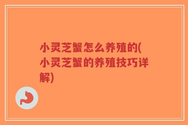 小灵芝蟹怎么养殖的(小灵芝蟹的养殖技巧详解)-第1张图片-超越 小灵芝蟹怎么养殖的(小灵芝蟹的养殖技巧详解)-第1张图片-超越