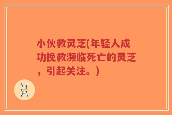 小伙救灵芝(年轻人成功挽救濒临死亡的灵芝,引起关注。)-第1张图片-超越 小伙救灵芝(年轻人成功挽救濒临死亡的灵芝,引起关注。)-第1张图片-超越