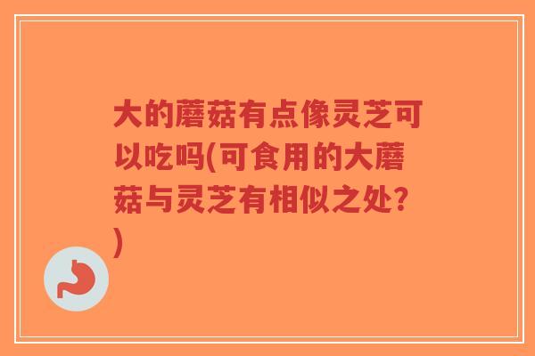 大的蘑菇有点像灵芝可以吃吗(可食用的大蘑菇与灵芝有相似之处?)-第1张图片-超越 大的蘑菇有点像灵芝可以吃吗(可食用的大蘑菇与灵芝有相似之处?)-第1张图片-超越