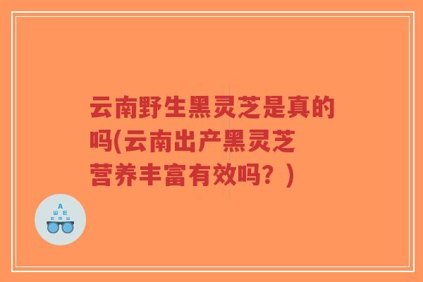 云南野生黑灵芝是真的吗(云南出产黑灵芝 营养丰富有效吗？)-第1张图片-超越