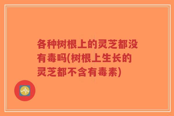 各种树根上的灵芝都没有毒吗(树根上生长的灵芝都不含有毒素)-第1张图片-超越 各种树根上的灵芝都没有毒吗(树根上生长的灵芝都不含有毒素)-第1张图片-超越