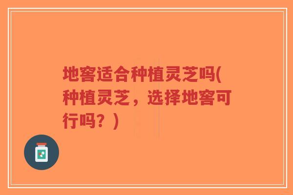地窖适合种植灵芝吗(种植灵芝,选择地窖可行吗?)-第1张图片-超越 地窖适合种植灵芝吗(种植灵芝,选择地窖可行吗?)-第1张图片-超越
