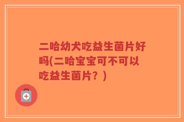二哈幼犬吃益生菌片好吗(二哈宝宝可不可以吃益生菌片?)-第1张图片-超越 二哈幼犬吃益生菌片好吗(二哈宝宝可不可以吃益生菌片?)-第1张图片-超越