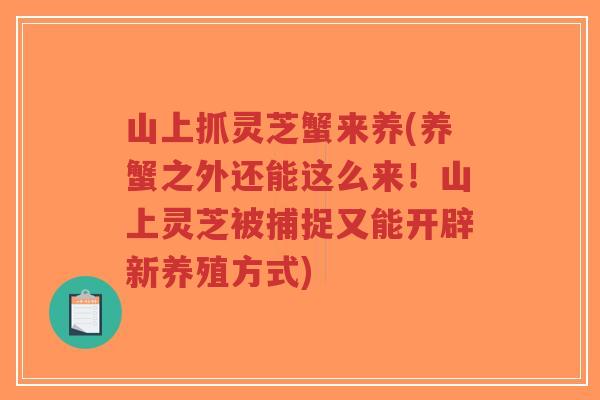 山上抓灵芝蟹来养(养蟹之外还能这么来!山上灵芝被捕捉又能开辟新养殖方式)-第1张图片-超越 山上抓灵芝蟹来养(养蟹之外还能这么来!山上灵芝被捕捉又能开辟新养殖方式)-第1张图片-超越