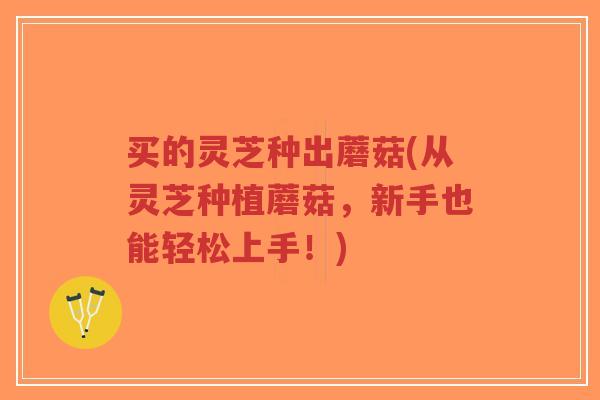 买的灵芝种出蘑菇(从灵芝种植蘑菇,新手也能轻松上手!)-第1张图片-超越 买的灵芝种出蘑菇(从灵芝种植蘑菇,新手也能轻松上手!)-第1张图片-超越