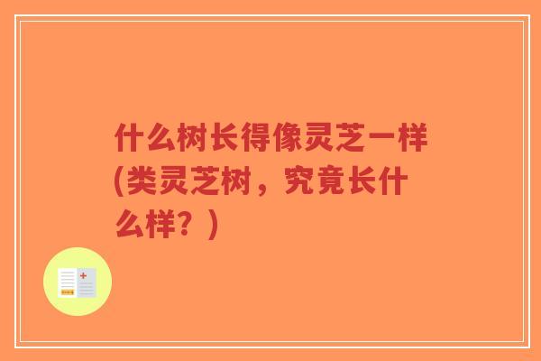 什么树长得像灵芝一样(类灵芝树,究竟长什么样?)-第1张图片-超越 什么树长得像灵芝一样(类灵芝树,究竟长什么样?)-第1张图片-超越