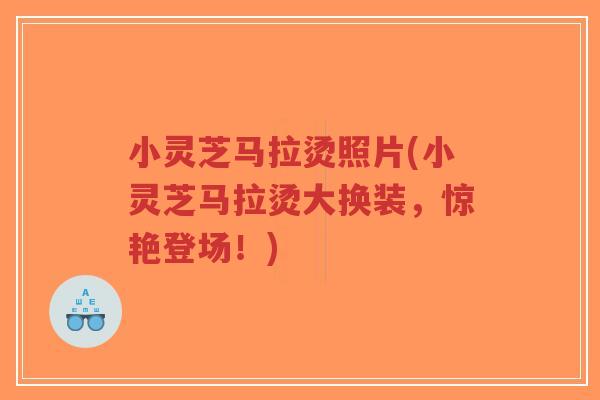 小灵芝马拉烫照片(小灵芝马拉烫大换装,惊艳登场!)-第1张图片-超越 小灵芝马拉烫照片(小灵芝马拉烫大换装,惊艳登场!)-第1张图片-超越