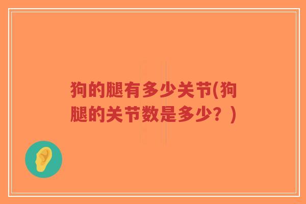 狗的腿有多少关节(狗腿的关节数是多少?)-第1张图片-超越 狗的腿有多少关节(狗腿的关节数是多少?)-第1张图片-超越