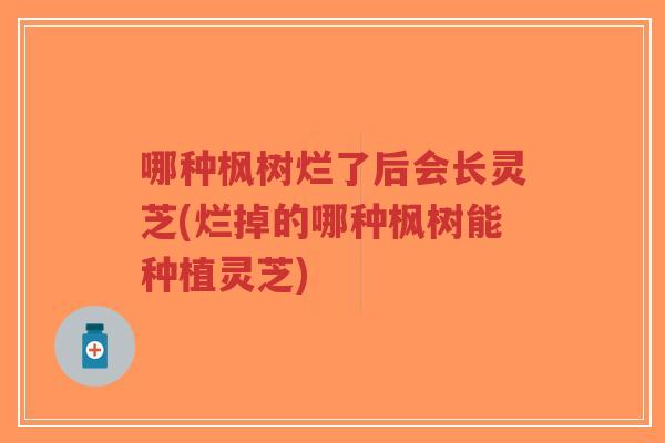 哪种枫树烂了后会长灵芝(烂掉的哪种枫树能种植灵芝)-第1张图片-超越 哪种枫树烂了后会长灵芝(烂掉的哪种枫树能种植灵芝)-第1张图片-超越