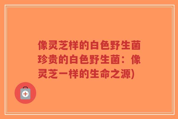 像灵芝样的白色野生菌珍贵的白色野生菌:像灵芝一样的生命之源)-第1张图片-超越 像灵芝样的白色野生菌珍贵的白色野生菌:像灵芝一样的生命之源)-第1张图片-超越