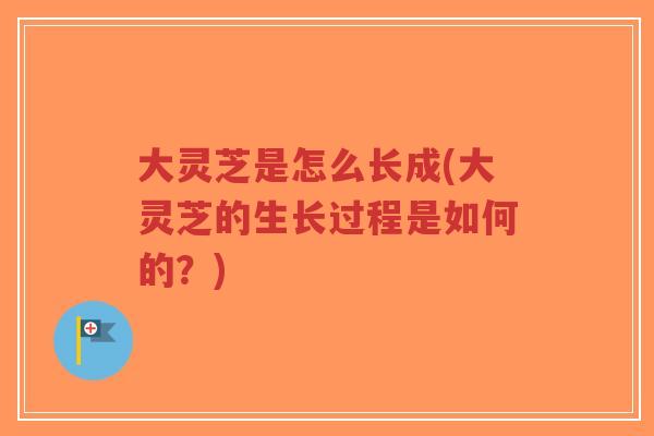 大灵芝是怎么长成(大灵芝的生长过程是如何的?)-第1张图片-超越 大灵芝是怎么长成(大灵芝的生长过程是如何的?)-第1张图片-超越
