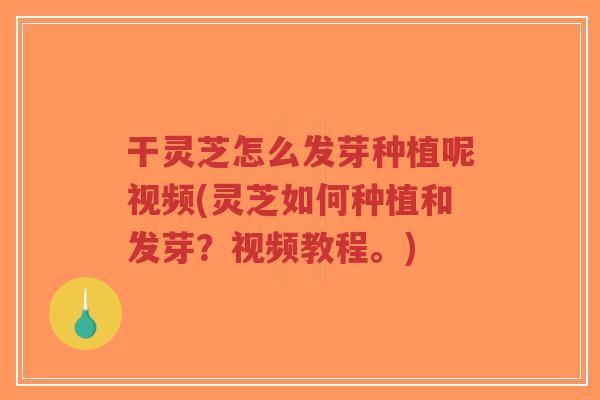 干灵芝怎么发芽种植呢视频(灵芝如何种植和发芽?视频教程。)-第1张图片-超越 干灵芝怎么发芽种植呢视频(灵芝如何种植和发芽?视频教程。)-第1张图片-超越
