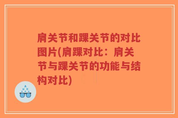 肩关节和踝关节的对比图片(肩踝对比:肩关节与踝关节的功能与结构对比)-第1张图片-超越 肩关节和踝关节的对比图片(肩踝对比:肩关节与踝关节的功能与结构对比)-第1张图片-超越