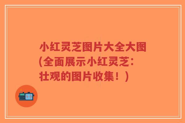 小红灵芝图片大全大图(全面展示小红灵芝:壮观的图片收集!)-第1张图片-超越 小红灵芝图片大全大图(全面展示小红灵芝:壮观的图片收集!)-第1张图片-超越