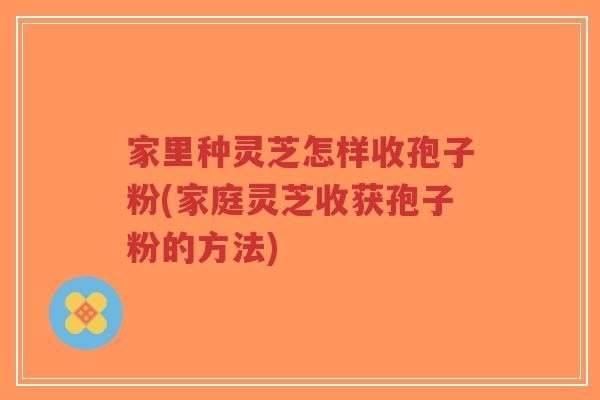 家里种灵芝怎样收孢子粉(家庭灵芝收获孢子粉的方法)-第1张图片-超越 家里种灵芝怎样收孢子粉(家庭灵芝收获孢子粉的方法)-第1张图片-超越