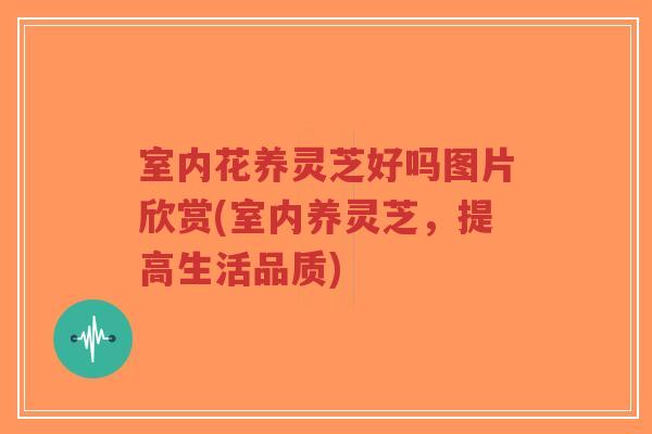室内花养灵芝好吗图片欣赏(室内养灵芝,提高生活品质)-第1张图片-超越 室内花养灵芝好吗图片欣赏(室内养灵芝,提高生活品质)-第1张图片-超越