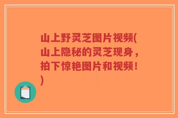 山上野灵芝图片视频(山上隐秘的灵芝现身,拍下惊艳图片和视频!)-第1张图片-超越 山上野灵芝图片视频(山上隐秘的灵芝现身,拍下惊艳图片和视频!)-第1张图片-超越