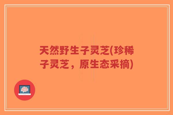 天然野生子灵芝(珍稀子灵芝,原生态采摘)-第1张图片-超越 天然野生子灵芝(珍稀子灵芝,原生态采摘)-第1张图片-超越